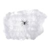 Pavouk s pavučinou, 12ks