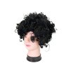 Paruka černá