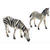 Zebra s mládětem - ZooLandia