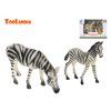 Zebra s mládětem - ZooLandia