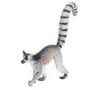 Lemur kata - ZooLandia