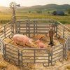 ZooLandia Farmár, prasnica s prasiatkom