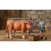 Zoolandia Býk hnědý a farmář s doplňky