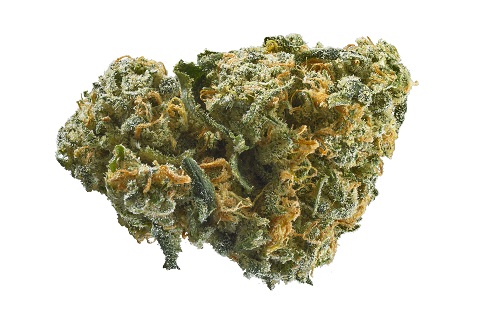 zlatéCBD Odroda konope AK-47 25% CBD 1g 0,2% THC