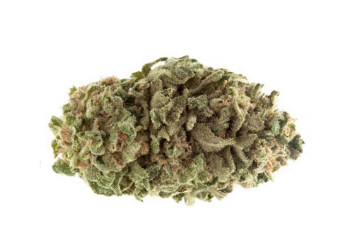 zlatéCBD Odroda konope Banana Kush 25% CBD 1g 0,2% THC