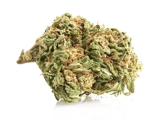 zlatéCBD Odroda konope Bubblegum 25% CBD 1g 0,2% THC
