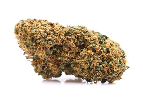 zlatéCBD Odroda konope Gelato 25% CBD 1g 0,2% THC