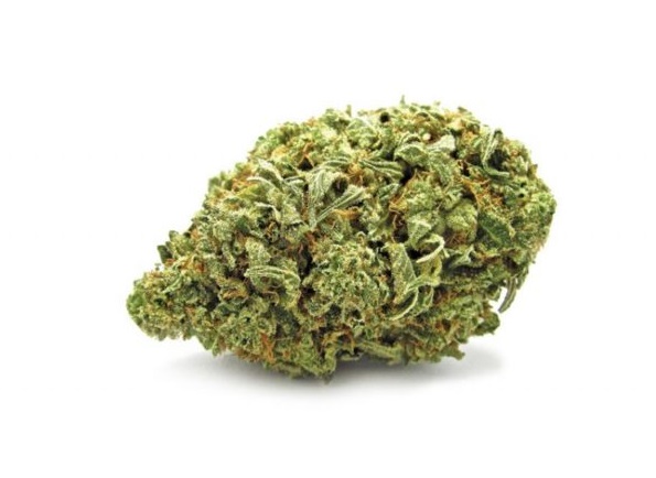 zlatéCBD Odroda konope Jack Herer 25% CBD 1g 0,2% THC