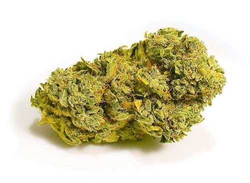 zlatéCBD Odroda konope Super Lemon Haze 22% CBD 1g 0,2% THC