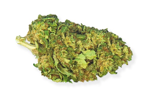 zlatéCBD Odroda konope Super Skunk 25% CBD 1g 0,2% THC