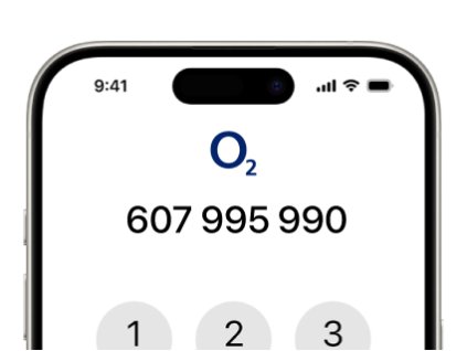 Zlaté číslo: 607 995 990