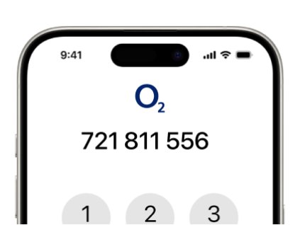 Zlaté číslo: 721 811 556