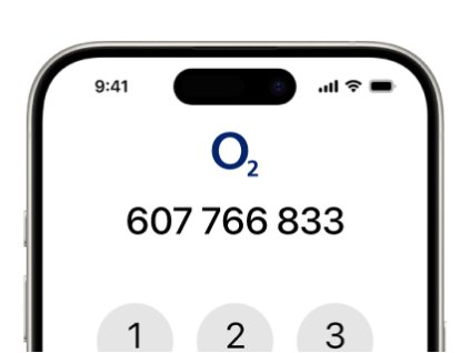 Zlaté číslo: 607 766 833