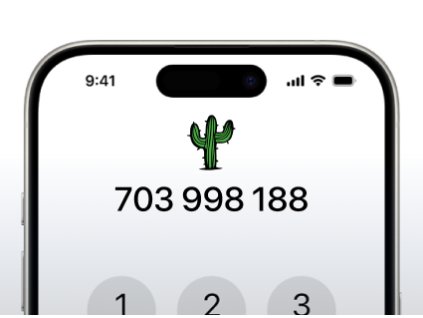Zlaté číslo 703 998 188