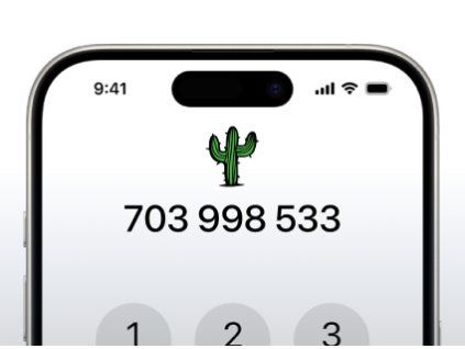 Zlaté číslo 703 998 533