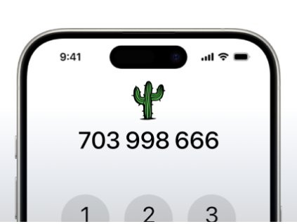 Zlaté číslo 703 998 666
