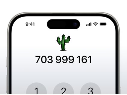 Zlaté číslo 703 999 161