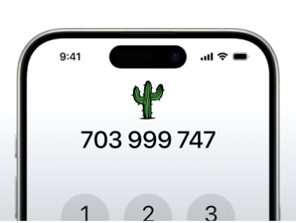 Zlaté číslo 703 999 747