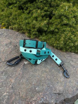 Kombinace HEXA VODÍTEK a voděodolného obojku, které u nás rádi nakupujete 🌷☀️🌲#hexa #hexavodítko První fotky lovecká...