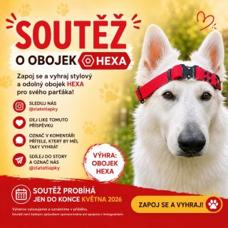 Vyhraj HEXA obojek dle vlastního výběru 😍 Pro zapojení stačí: ✅ sleduj @zlatetlapky ✅ sdílej příspěvek ve story a označ...
