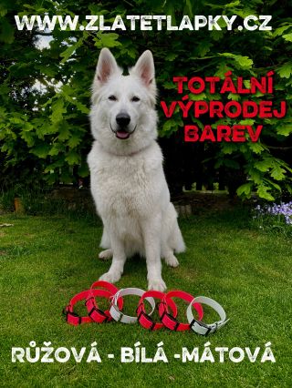Výprodej barviček na e-shopu až -54%. ♥️💙🩷 10 barev ve výprodeji 😍⬇️ Www.zlatetlapky.cz