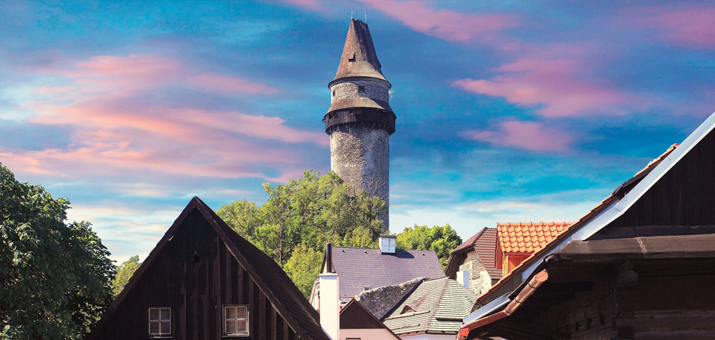 Družice