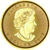 Maple Leaf 1 20 Ounce Gold 2