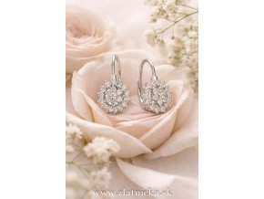 Elegantné strieborné náušnice 925 so žiarivými zirkónmi