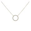 Zlatý náhrdelník s kroužkem N3019