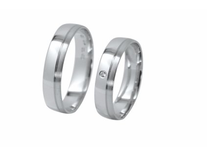 42C Snubní prsteny - Classic pánský (Materiál Bílé zlato 14kt, Šířka 4.65, Velikost 40)