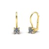 Briliantové náušnice NK210017 (Materiál Bílé zlato 14kt)