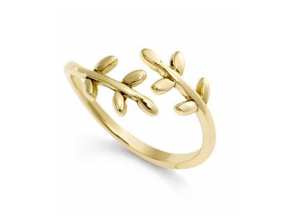 Prsten ze zluteho zlata