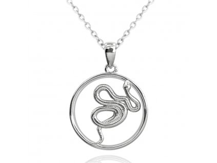 Stříbrný náhrdelník s hadem