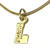 Přívěsek ze žlutého zlata písmeno L ryté 000.00015