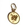 Zlatý přívěsek znamení kolečko malé Vodnář