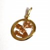 Zlatý přívěsek znamení kolečko komb.Vodnář