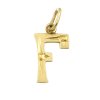 Zlatý přívěsek písmenko F 000.00045