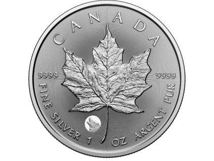 Snímek obrazovky 2026 01 12 v 21.54.50