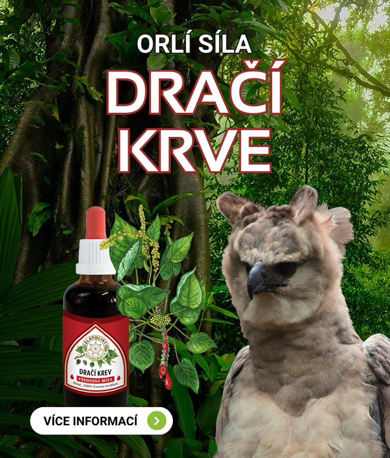 Dračí krev - orlí síla mobil