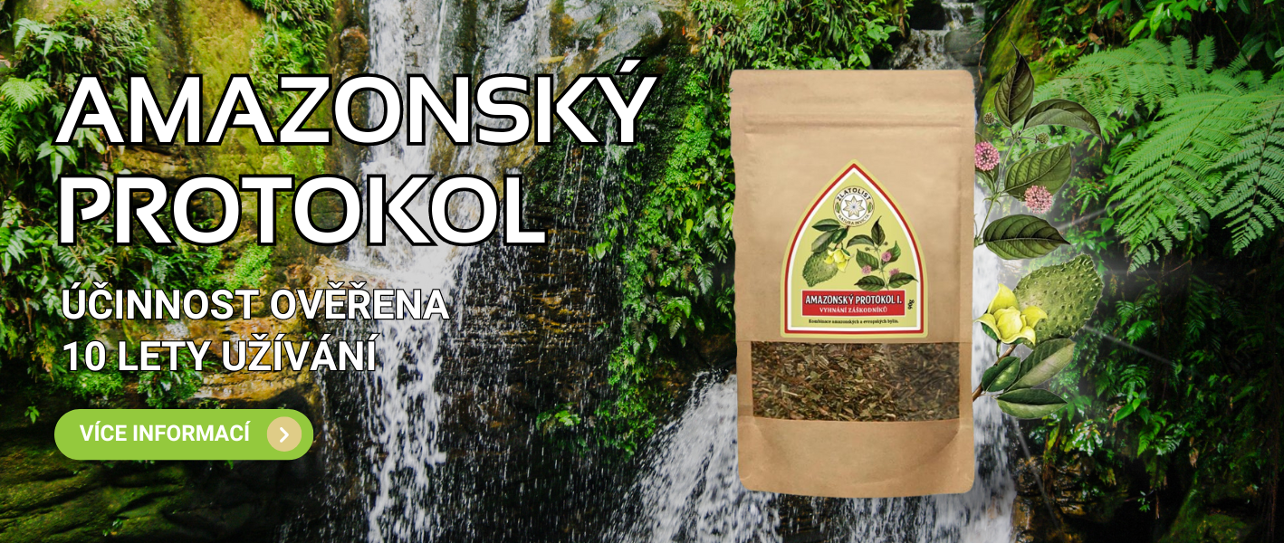 Amazonský protokol