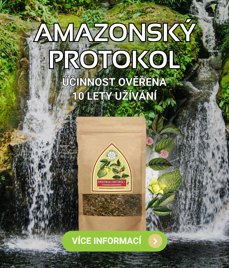 Amazonský protokol - mobil