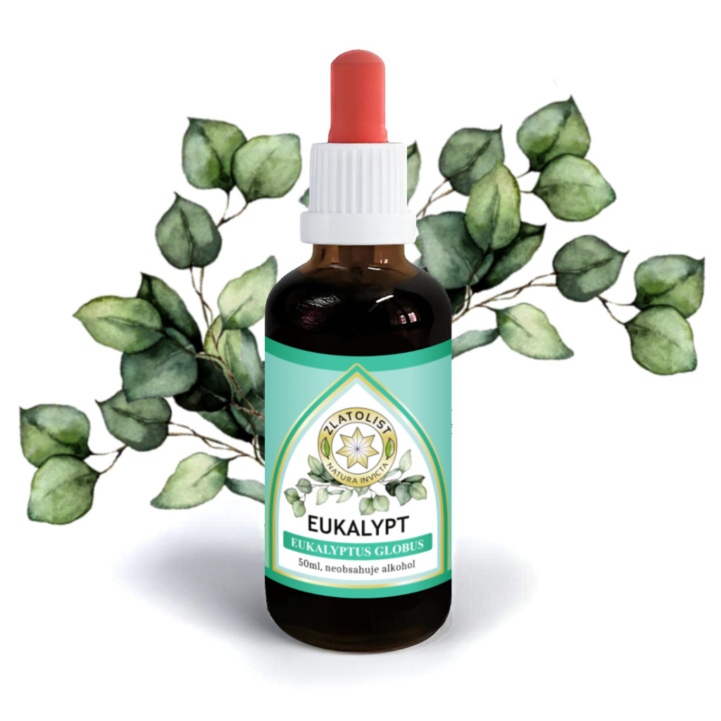 Eukalypt produktová