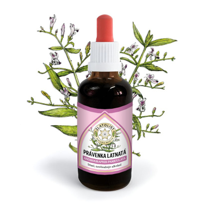 pravenka latnata andrographys paniculata extrakt