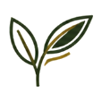 BIO