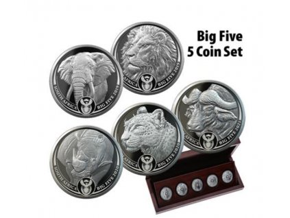 Investicni stribro Big Five Sada R