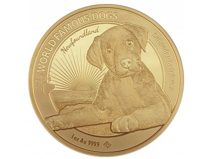 Investicni zlato slavni psi Labrador 2023 1oz R