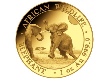 Investicni zlato Somalsky slon 2024 1oz R