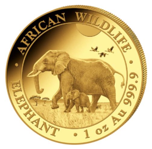 1 oz zlatá mince Gold Somalia Elephant 2022 Bayerisches Hauptmünzamt
