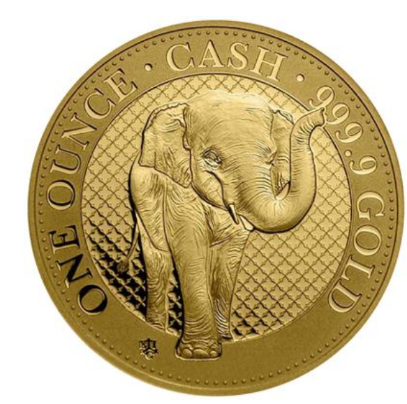 1 oz zlatá mince India Wildlife - Slon 2021 BU - Svatá Helena