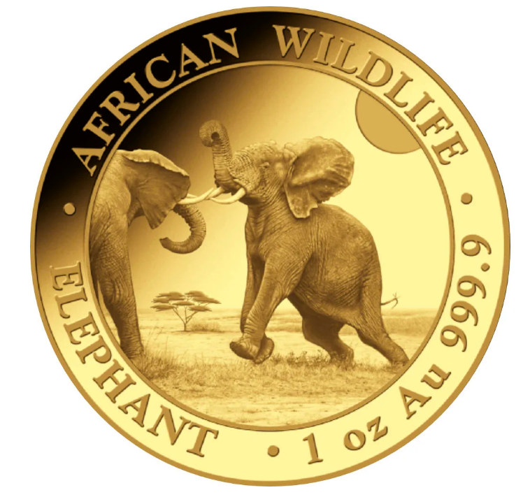 1 oz zlatá mince Slon africký 2024 - Somálsko - Bayerisches Hauptmünzamt